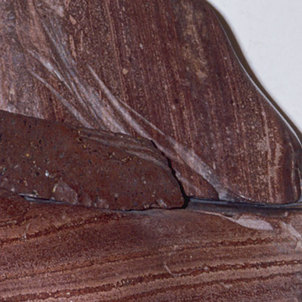 1-planta-org1-medium